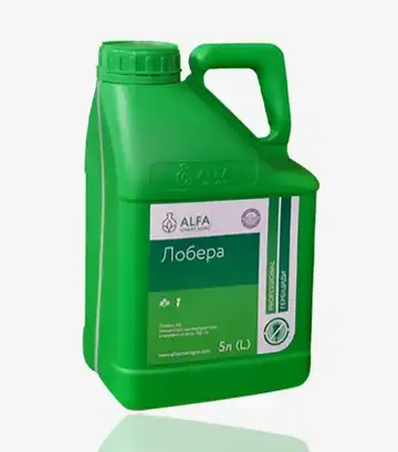 Гербицид Лобера, 5 л (ALFA Smart Agro) - фото 2