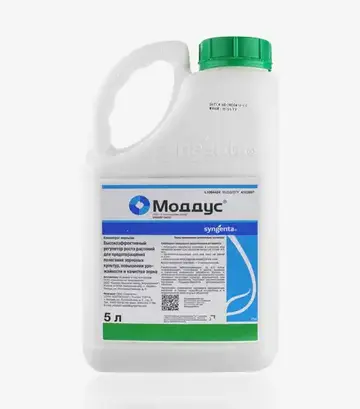 Регулятор роста Моддус 250,5 л (Syngenta) - фото 2