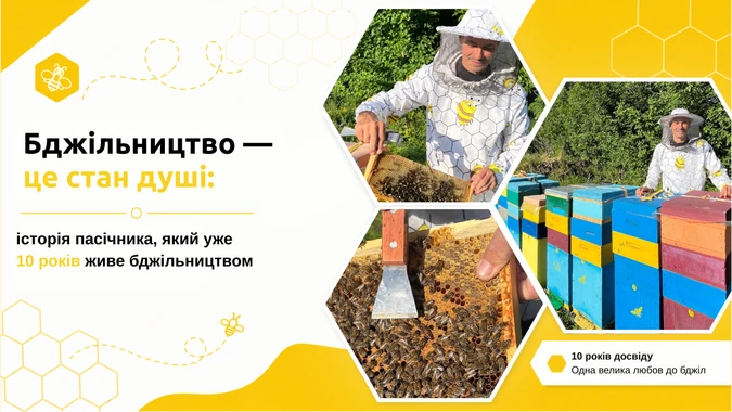 Пчеловодство — это состояние души: история пасечника, который уже 10 лет живёт пчеловодством