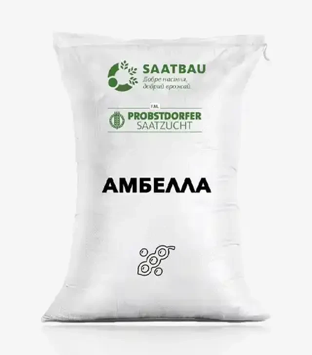 Соя Амбелла, т (Saatbau)