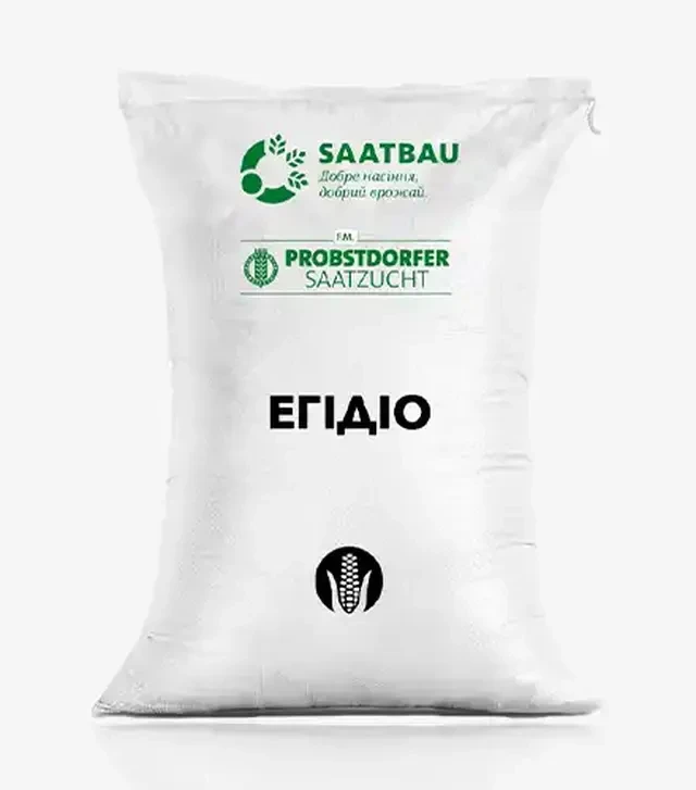 Кукурудза Егідіо, п.о. 80 тис. насінин (Saatbau)