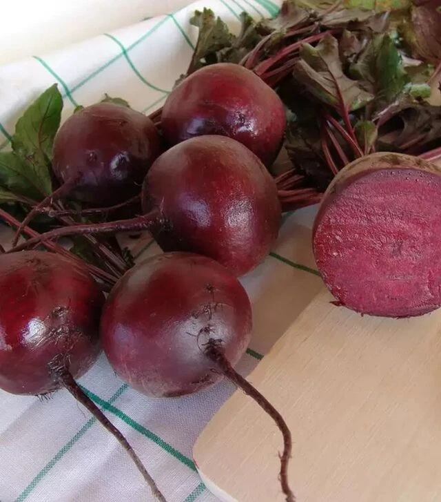 Семена свеклы Моника, 1 кг (Moravoseed)
