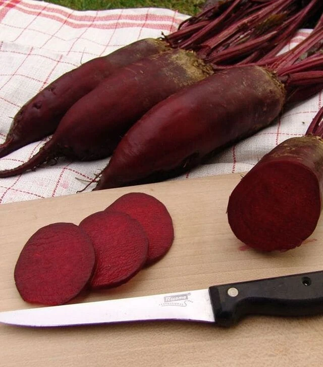 Семена свеклы Монорубра, 1 кг (Moravoseed)