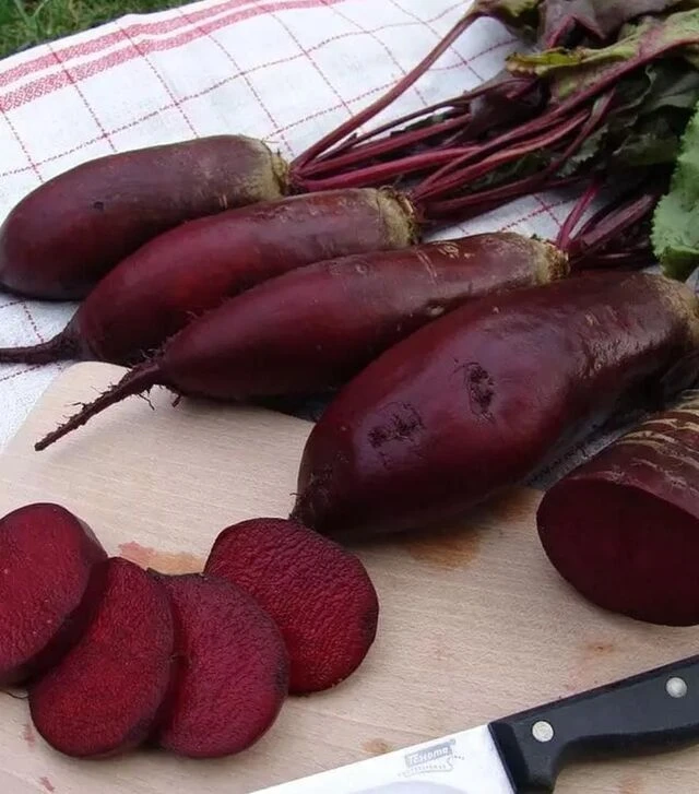 Семена свеклы Ренова, 10 кг (Moravoseed)