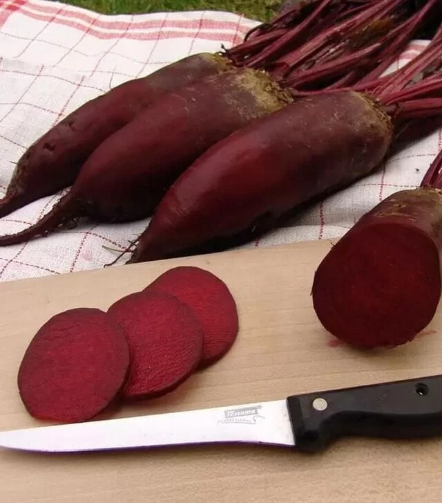 Семена свеклы Монорубра, 10 кг (Moravoseed)