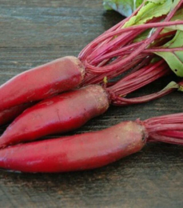 Семена свеклы Атаман F1, 100 г (Satimex)