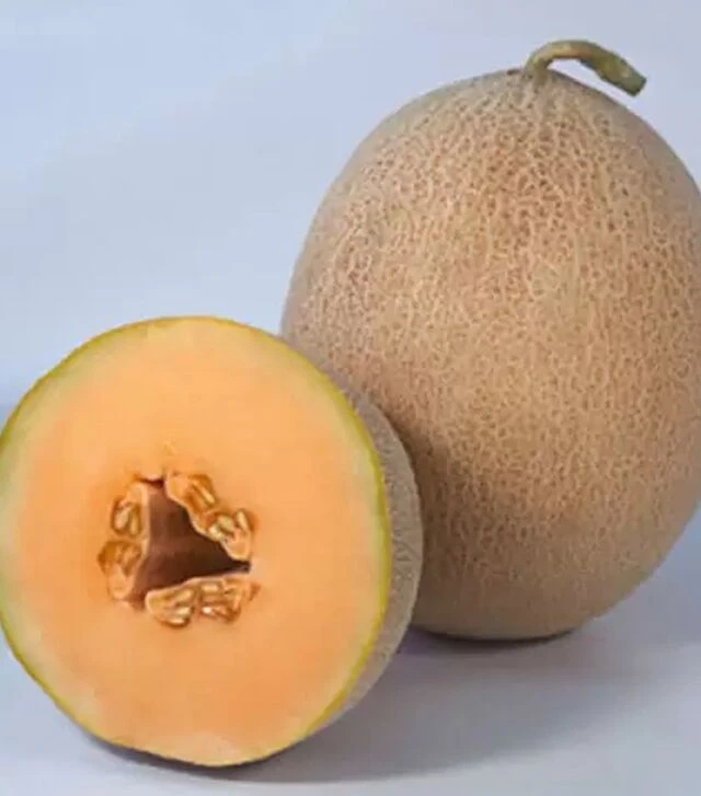 Семена дыни КС 6147, п.е. 1 тыс. семян (Kitano Seeds)