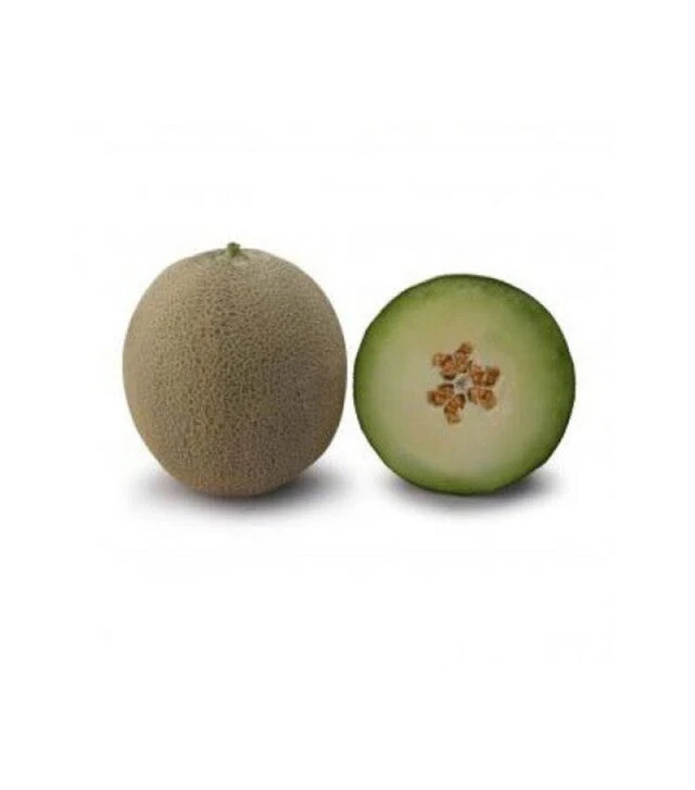 Семена дыни KC 7044 F1, п.о. 100 семян (Kitano Seeds)