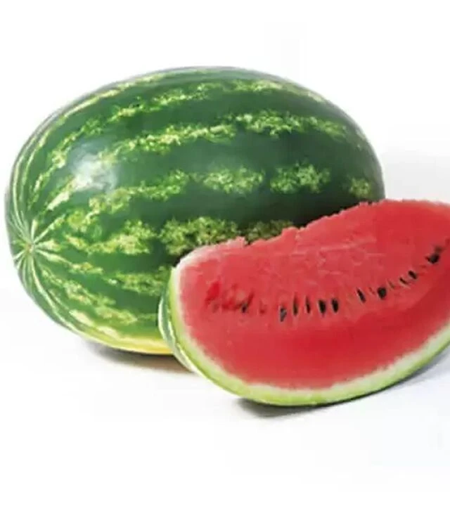 Семена арбуза КС 638 F1, п.е. 1 тыс. семян (Kitano Seeds)