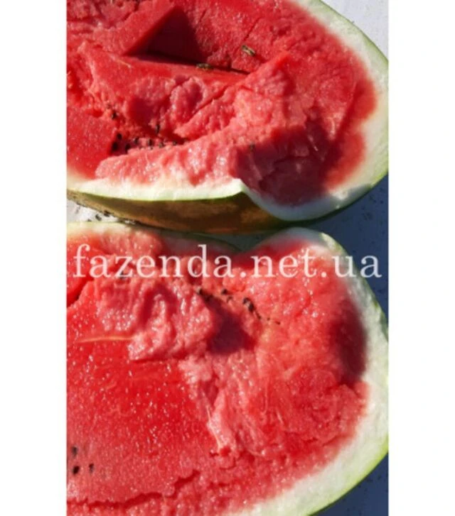 Семена арбуза Брендон F1, п.о. 250 семян (Libra Seeds)