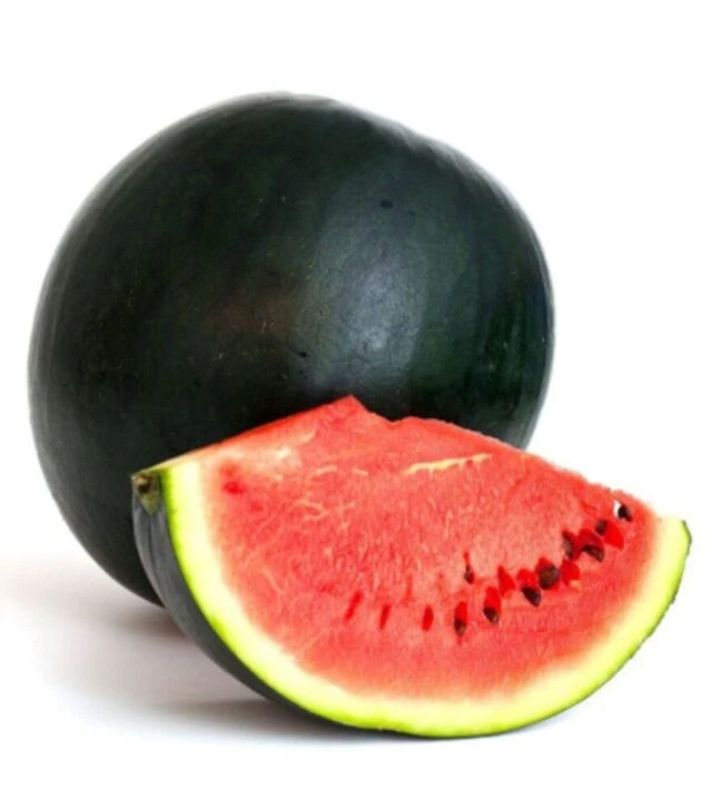 Семена арбуза Шуга Бэби F1, 100 г (Moravo Seed)