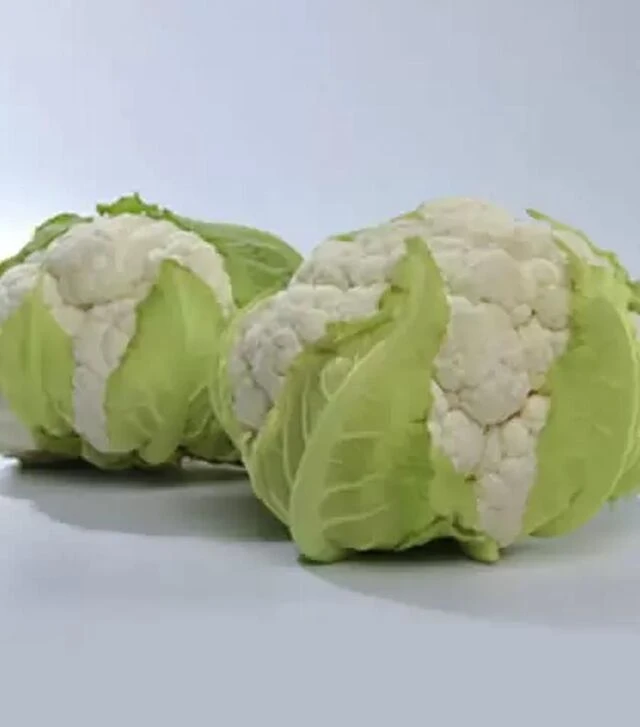 Насіння цвітної капусти Місора F1, п.о. 2500 насінин (Kitano Seeds)