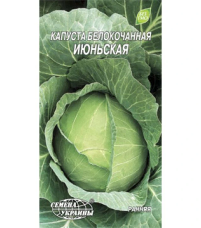 Семена белокочанной капусты Июньская, 1 г (Семена Украины)