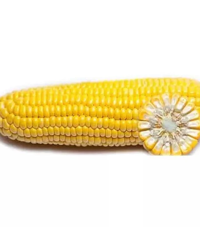 Семена кукурузы ГГС 3071 F1, п.е. 100 тыс. семян (Syngenta)