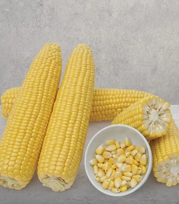 Насіння кукурудзи Мірза F1, п.о. 5 тис.насінин (May Seeds)