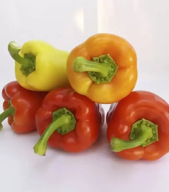 Семена перца Яника F1, п.е. 250 семян (Kitano Seeds)