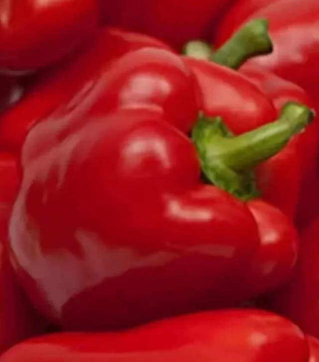 Семена перца Экла F1, п.е. 500 семян (Syngenta)