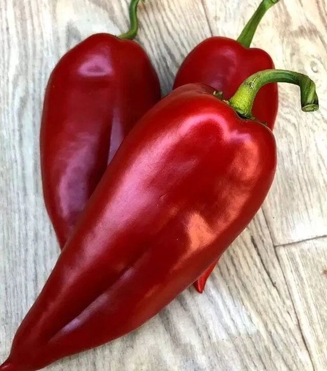 Семена перца Фанат F1, п.е. 500 шт семян (Spark Seeds)