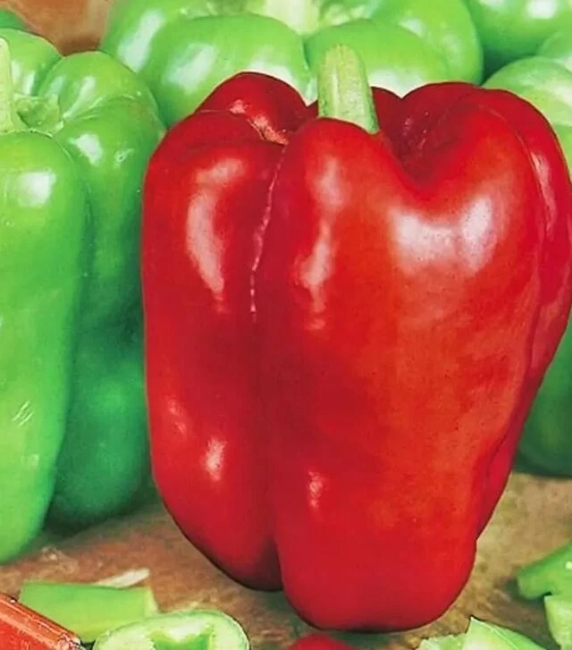 Семена перца Ожаровский, 50 г (Moravoseed)