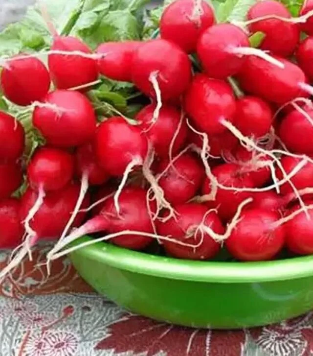Насіння редису Марта, 250 г (Nasko)