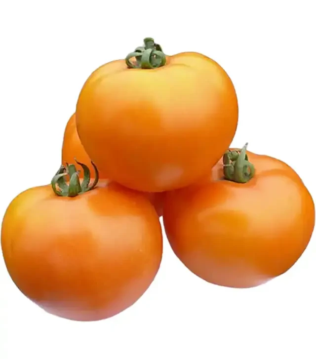 Семена томата Солидо F1, п.е. 500 семян (Spark Seeds)