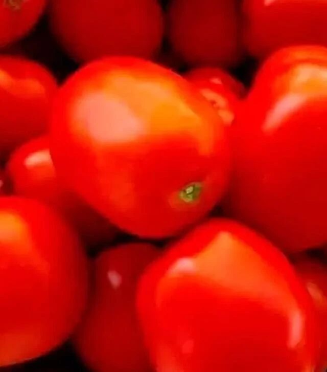Семена томата Албароссо F1, п.е. 1 тыс. семян (Cora Seeds)