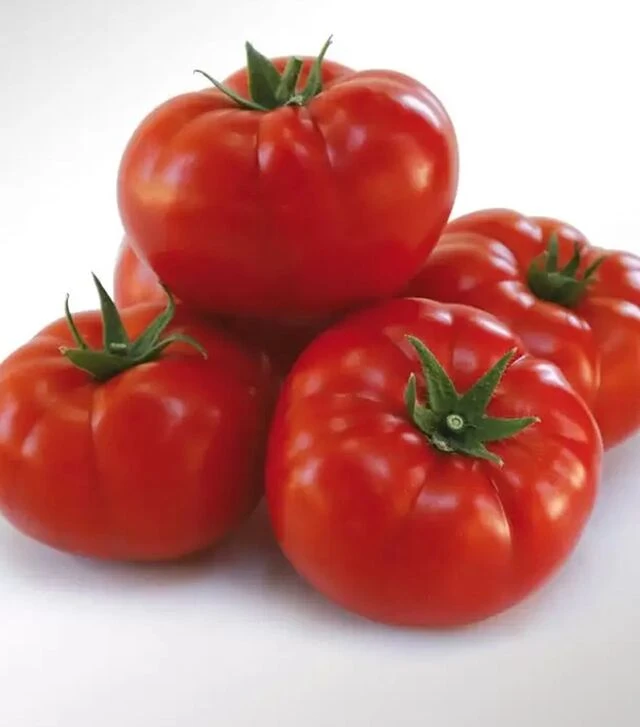 Насіння томату КС 206 F1, п.о. 500 насінин (Kitano Seeds)