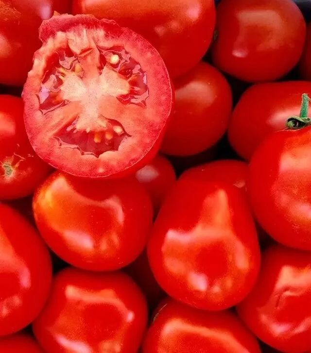 Семена томата Леонероссо F1, п.е. 25 тыс. семян (Cora Seeds)