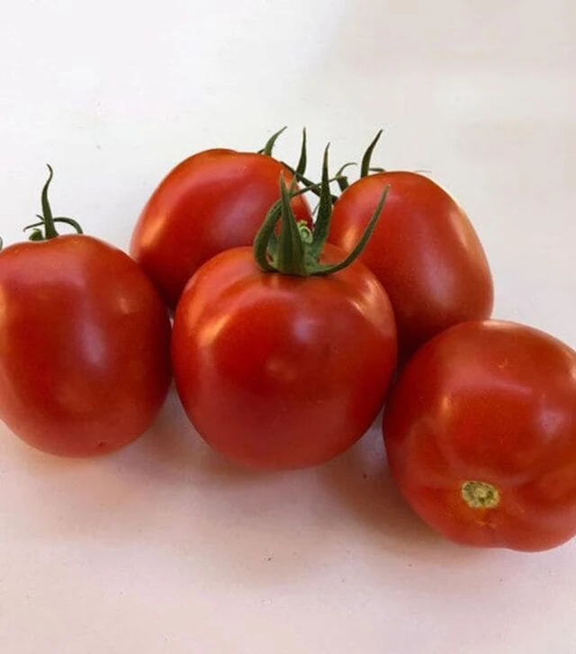 Семена томата Энигма F1, п.е. 250 семян (Spark Seeds)