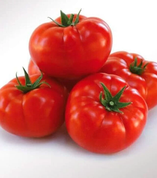 Семена томата 1503 F1, п.е. 5 тыс. семян (Spark Seeds)