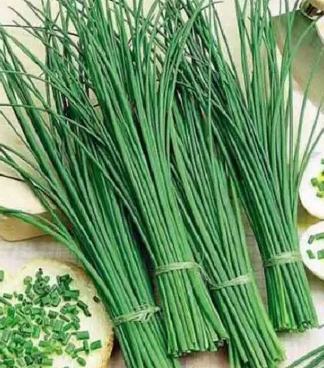 Насіння ріпчастої цибулі Грінпік F1, п.о. 250 тис. насінин (Lark Seeds)