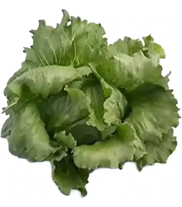 Семена салата Айс вэйв, п.е. 5 тыс. семян (Syngenta)