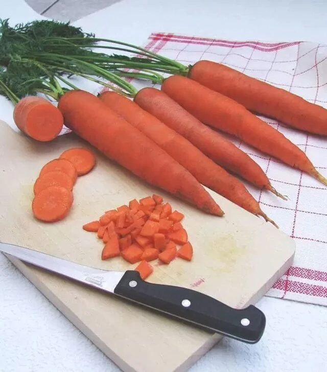 Семена моркови Тинга, 1 кг (Moravoseed)
