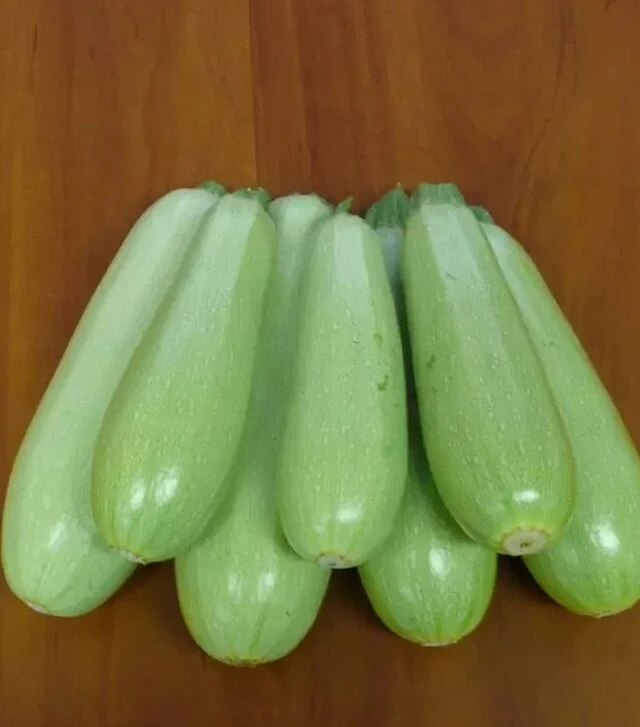 Семена кабачка Немо F1 Ларк Сидд, п.е. 2.5 тыс. семян (Lark Seeds)
