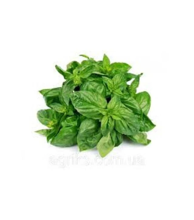 Семена базилика Эдвина Organic, 50 г (Vitalis)