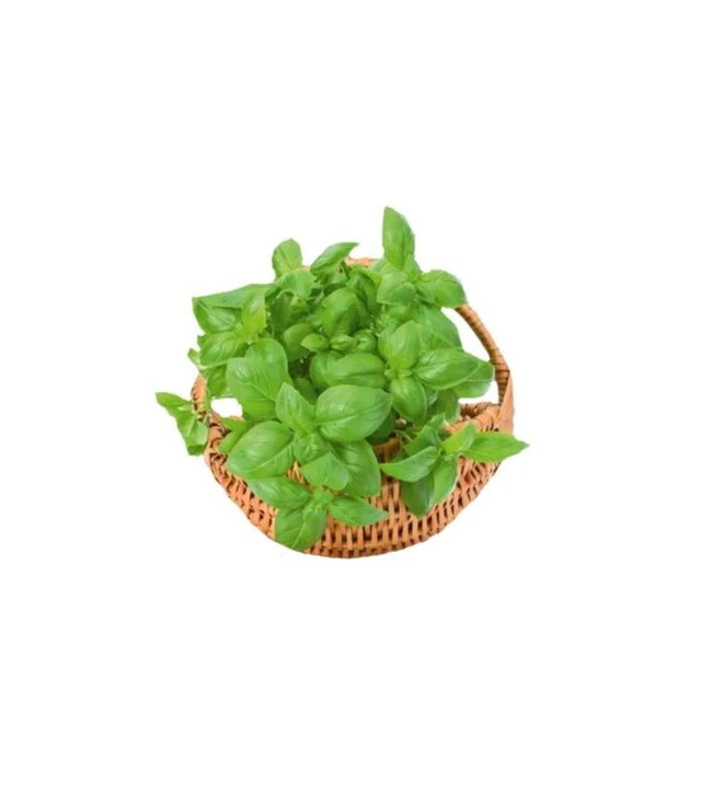 Семена базилика Боназза, 50 г (Leda Seeds)
