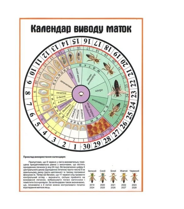 Календар виведення маток (KM0003UK)