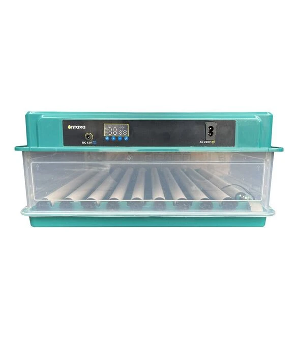 Инкубатор автоматический Птица 70-G (220 В; 12 В)