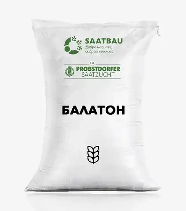 Пшениця озима Балатон, т (Saatbau)