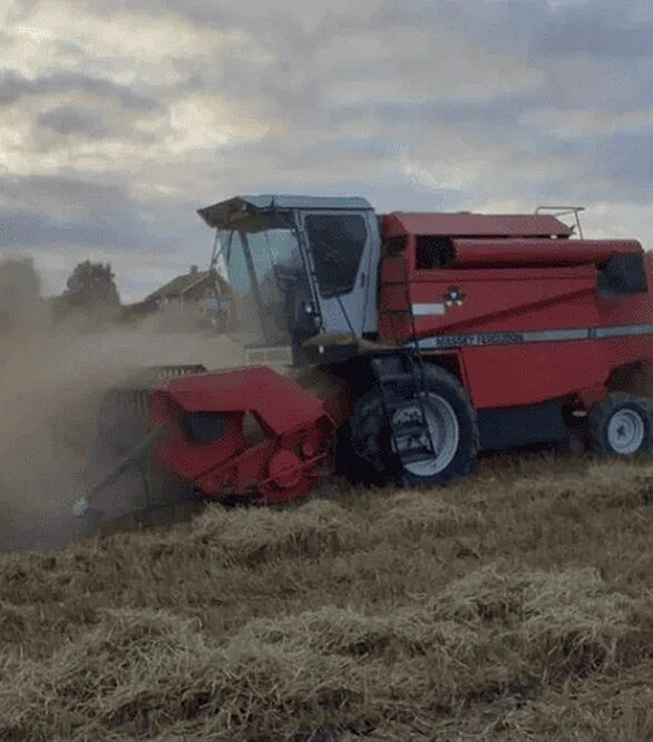 Зернозбиральний комбайн Massey Ferguson 22, 1994 р.в, 1139 м/год, б/в