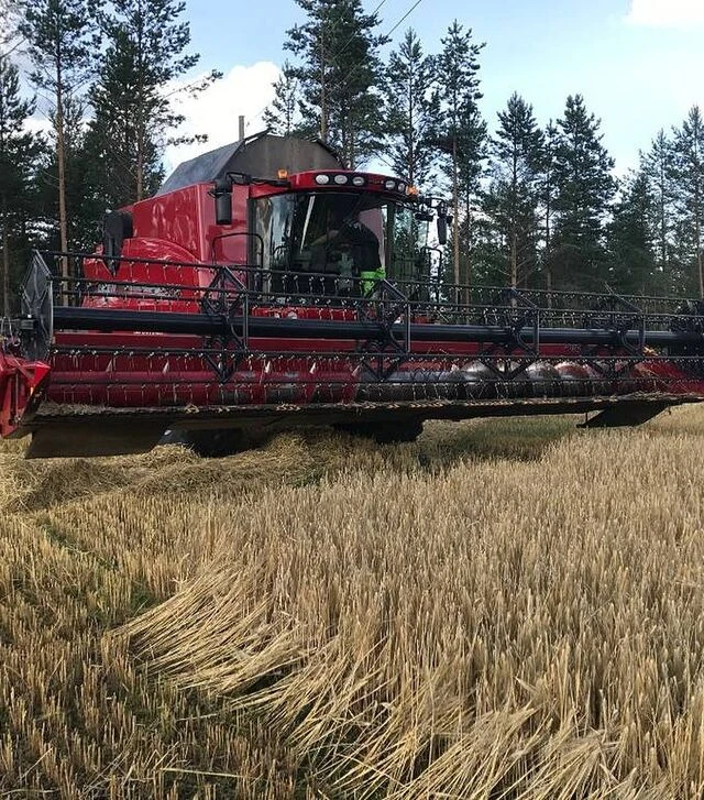 Зернозбиральний комбайн Case IH 9010, 2008 р.в, 2015 м/год, б/в
