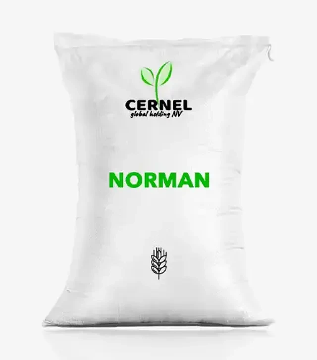 Ячмінь озимий Norman (Норман), т (Cernel Global Holding NV)