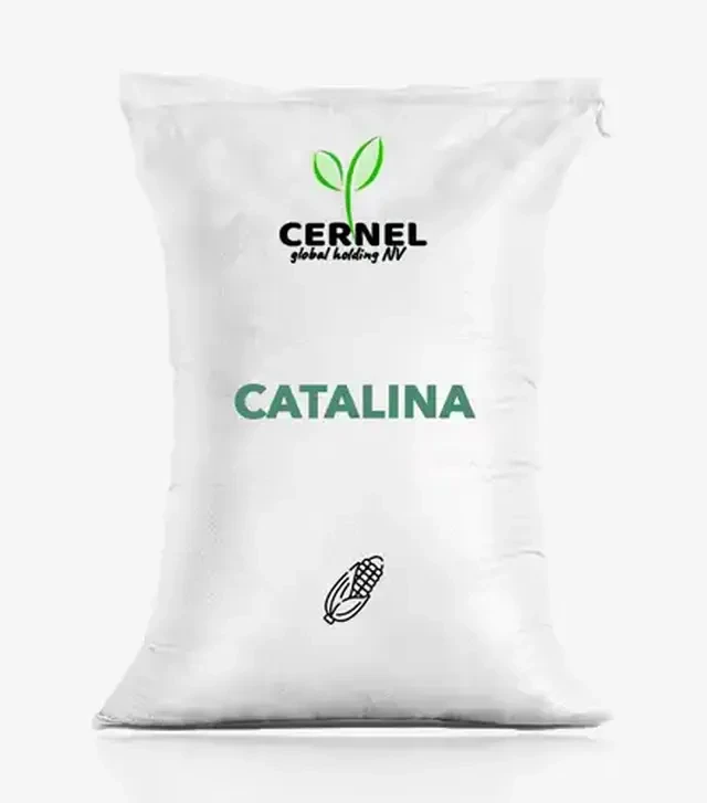 Кукуруза Catalina (Каталина), п.е. 80 тыс. семян (Cernel Global Holding NV)