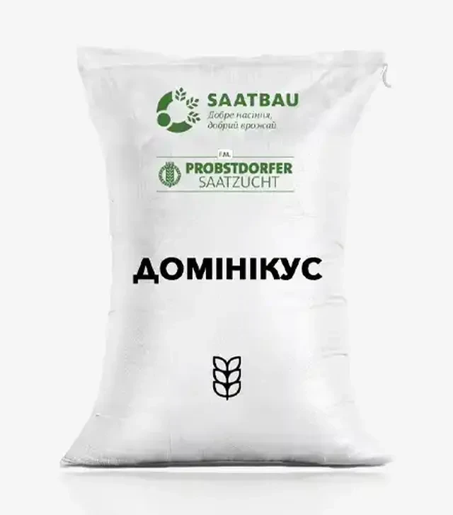 Озимая пшеница Доминикус, т (Saatbau)