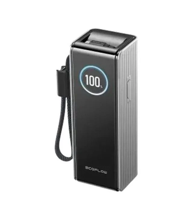 Універсальна мобільна батарея EcoFlow RAPID Power Bank 25000 mAh, with cables, Silver (EF-RAPID25K100W-S-EU)