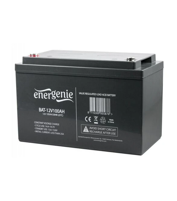 Аккумуляторная батарея EnerGenie AGM, 12 В, 100 A*ч (BAT-12V100AH)