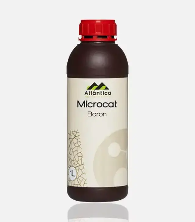Стимулятор росту Мікрокат Бор (В), 1 л (Atlantica Agricola)