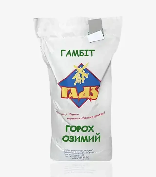 Горох ярий Гамбіт, т (Selgen)