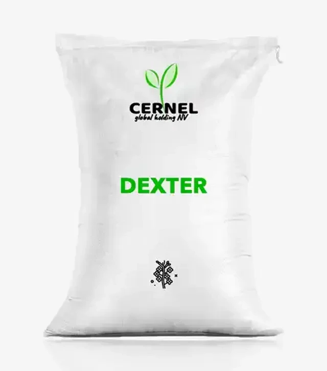 Ріпак озимий Dexter (Декстер), п.о. 1 500 тис. насінин (Cernel Global Holding NV)