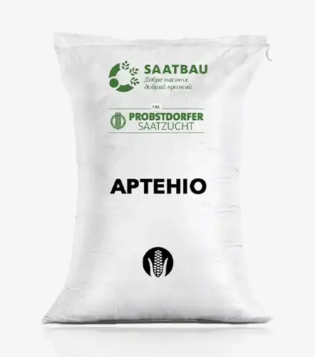 Кукуруза Артенио, п.е. 80 тыс. семян (Saatbau)